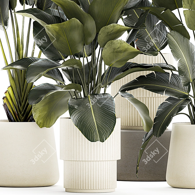 Tropical Plant Set in Concrete Vase 3D model image 6