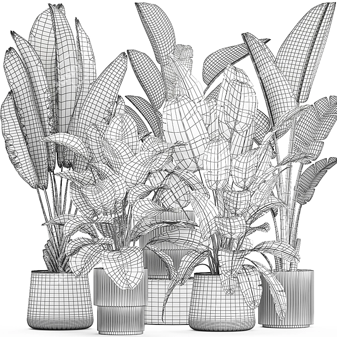 Tropical Plant Set in Concrete Vase 3D model image 7