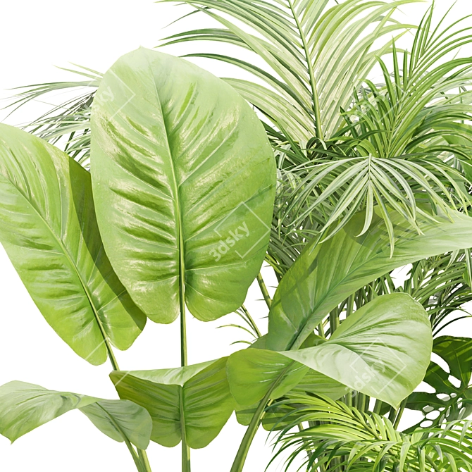 Indoor Plants Collection Vol. 221 3D model image 2