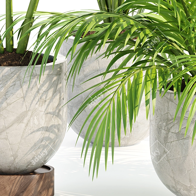 Indoor Plants Collection Vol. 221 3D model image 3