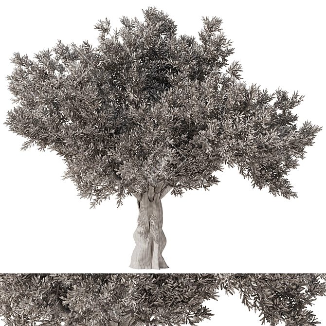 Eucalyptus Tree Set5 3D Model 3D model image 5