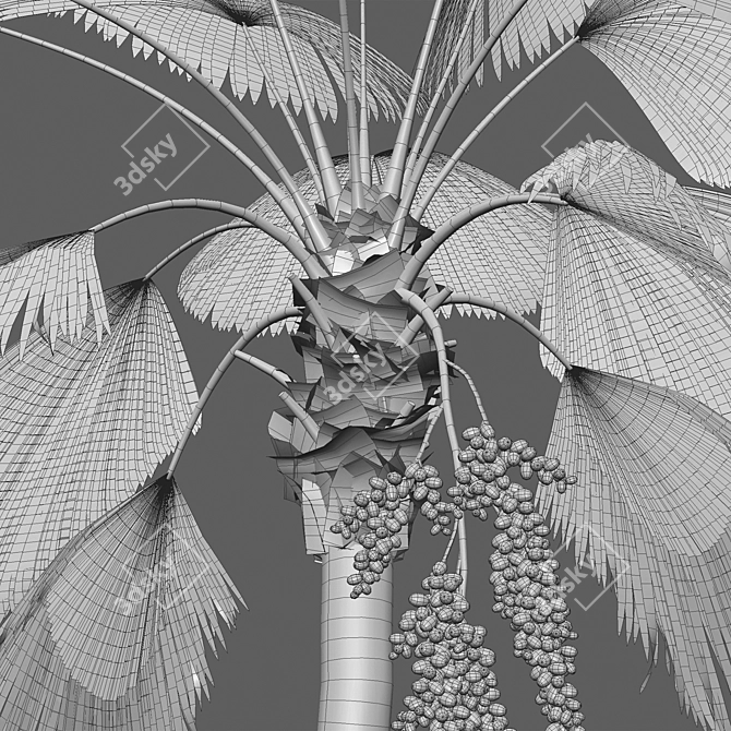 Variety 3D Plant Models Collection 3D model image 4