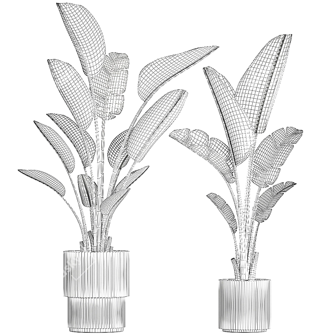 Exotic Tropical Plant Collection 3D model image 7