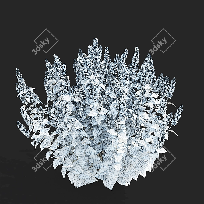 Hybrid Agastache Flower 3D Models 3D model image 6