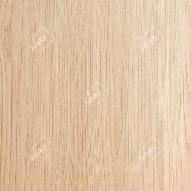 Oak 005 Seamless Wood Texture 3D model image 2