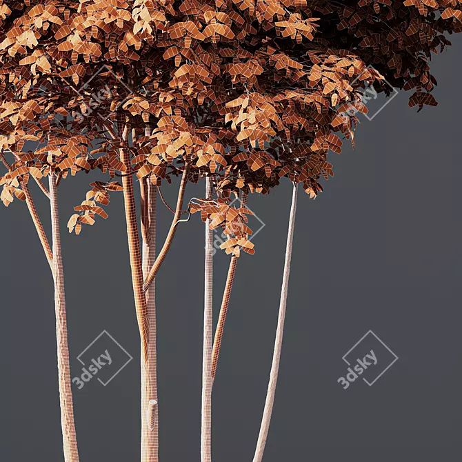 Title: Premium Ash Tree Models 3D model image 4