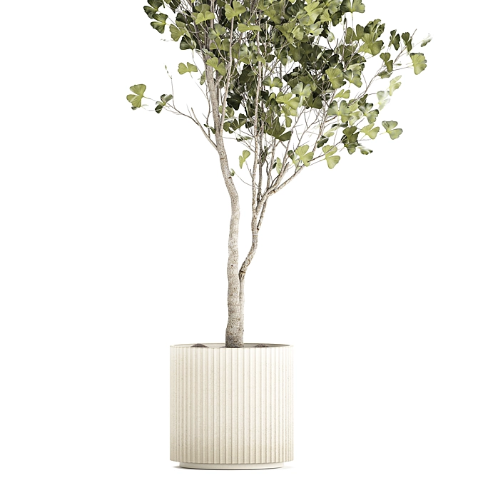 Ginkgo Biloba Decor Tree in Concrete Pot 3D model image 4