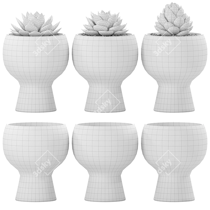 Blooming Joy Plant Set 3D model image 6