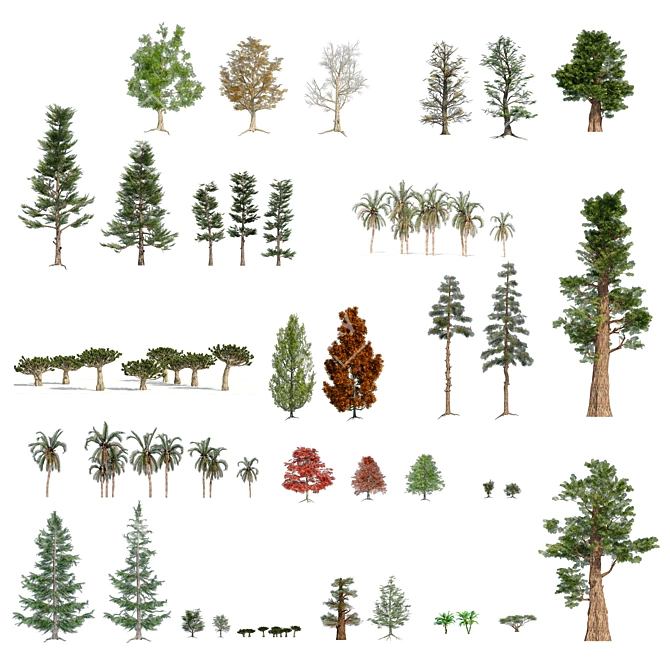 Low Poly Tree Models Collection 3D model image 2