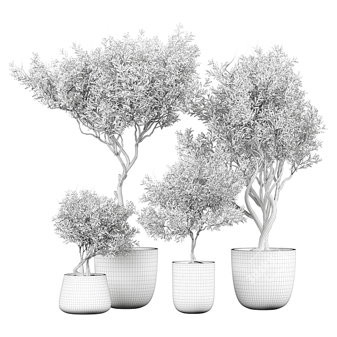 Elegant Interior Plant Decor 383 3D model image 4