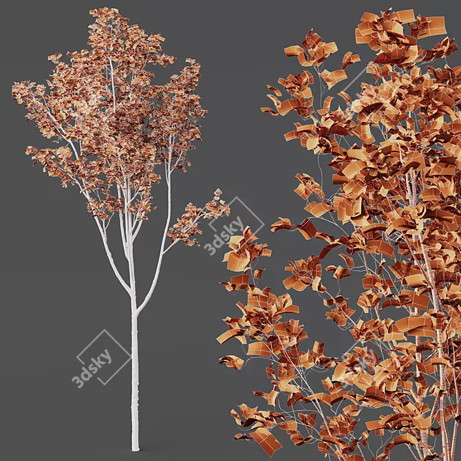 Diverse HQ Acer Plant Models 3D model image 4