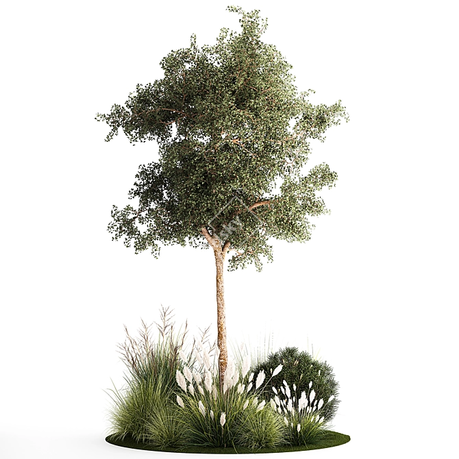 Tropical Trees Collection with Grasses 3D model image 5