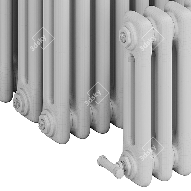 Solira Vertical Tube Radiator 3D model image 4