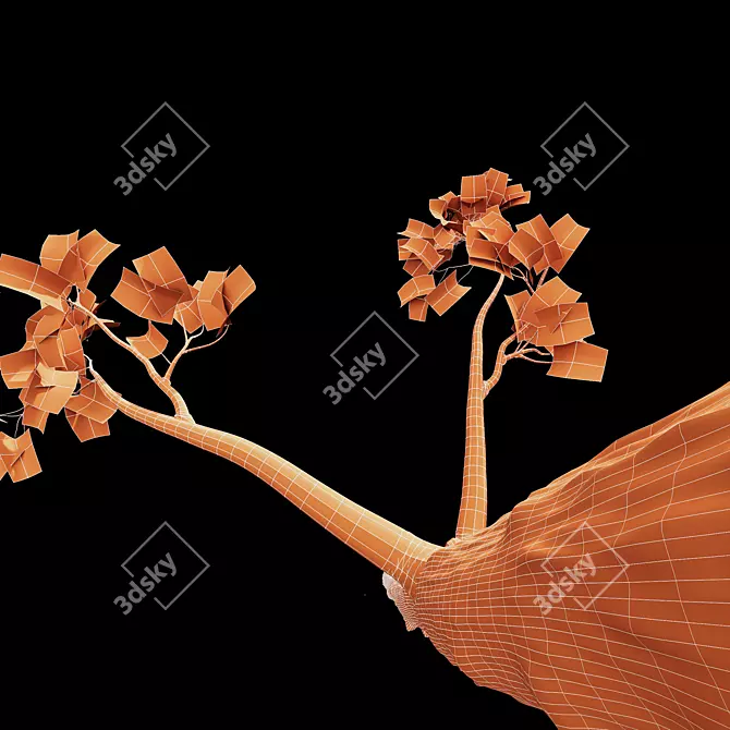 HQ Sycamore Maple 3D Models 3D model image 4