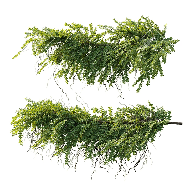 Ivy Hanging Plants Garden Set 3D model image 2