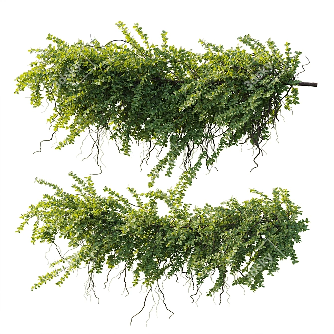 Ivy Hanging Plants Garden Set 3D model image 3