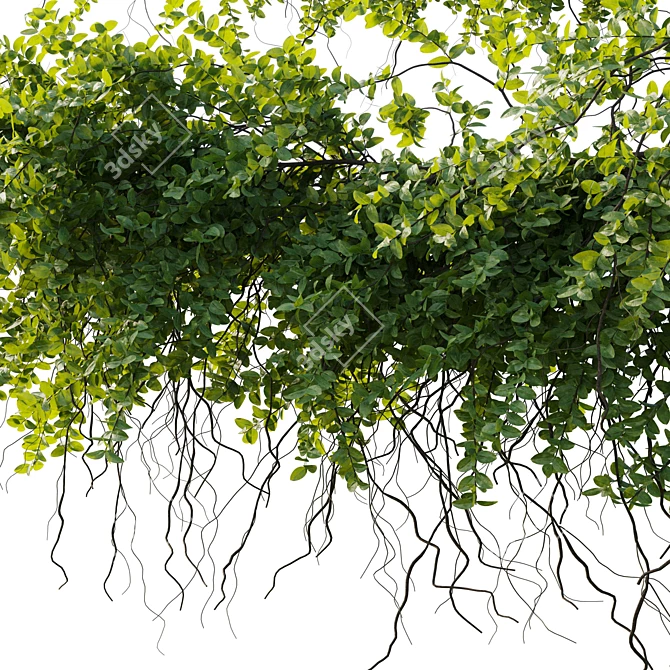 Ivy Hanging Plants Garden Set 3D model image 4