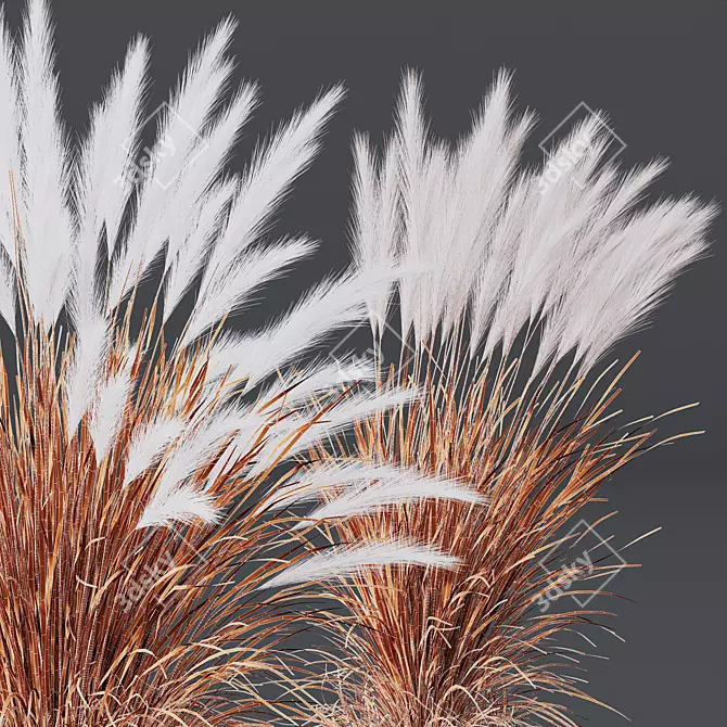 Mexican Feathergrass 3D Plant Models 3D model image 5