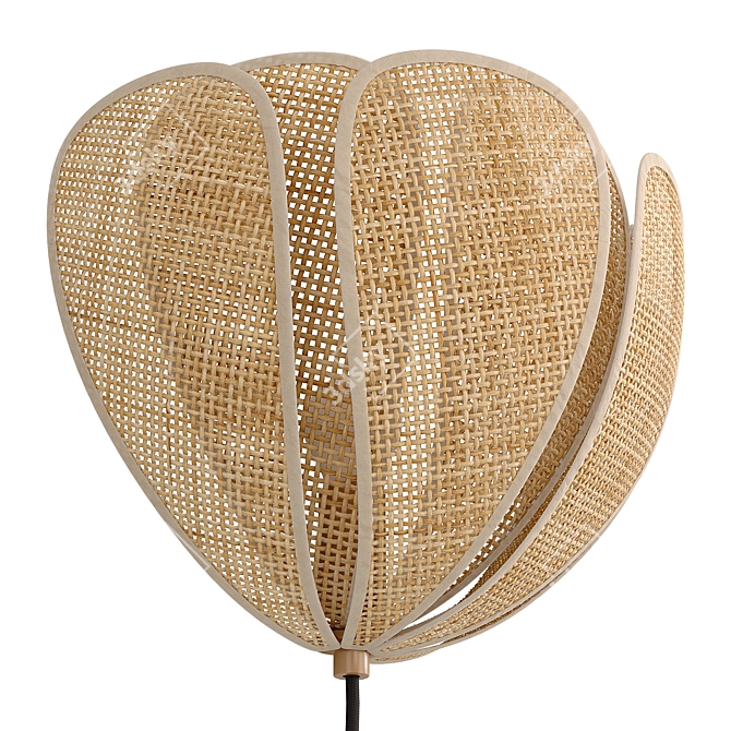  Rattan Petal Sconce, La Redoute 3D model image 5