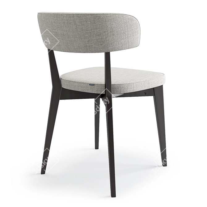 Scandinavian Style Compact Modern Chair 3D model image 4