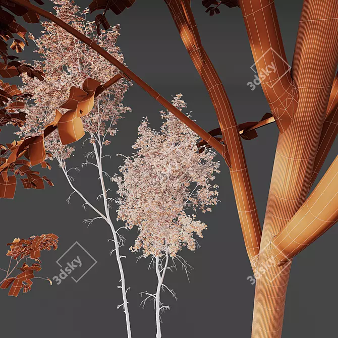 Silver Birch HQ 3D Models 3D model image 4