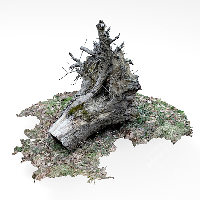 Vintage Tree Stump 3D model image 1