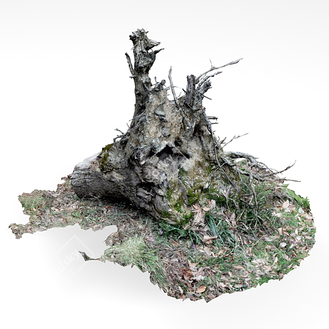 Vintage Tree Stump 3D model image 3