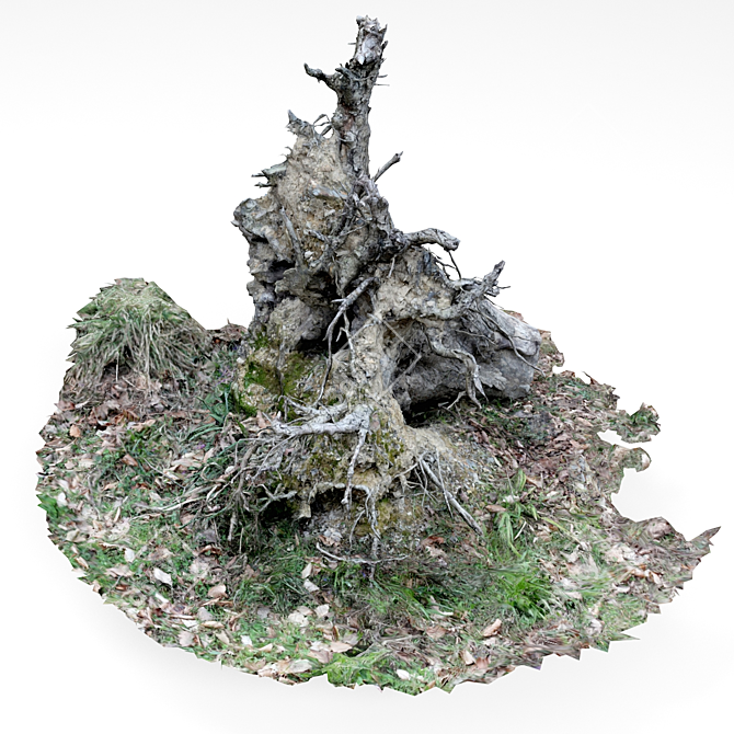 Vintage Tree Stump 3D model image 4