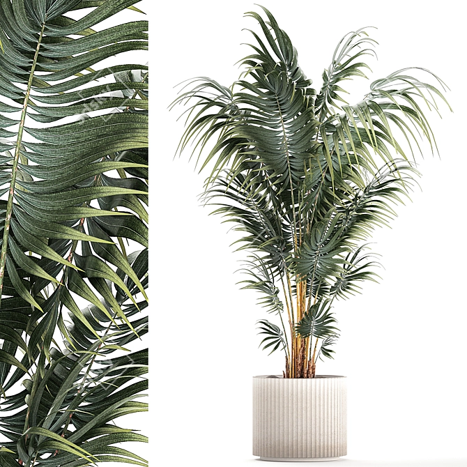 Modern Mini Decorative Indoor Palm 3D model image 1