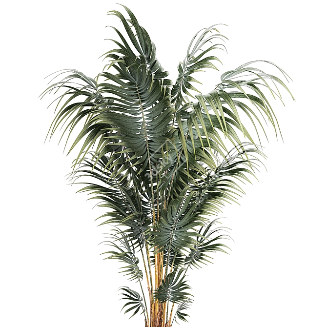 Modern Mini Decorative Indoor Palm 3D model image 2