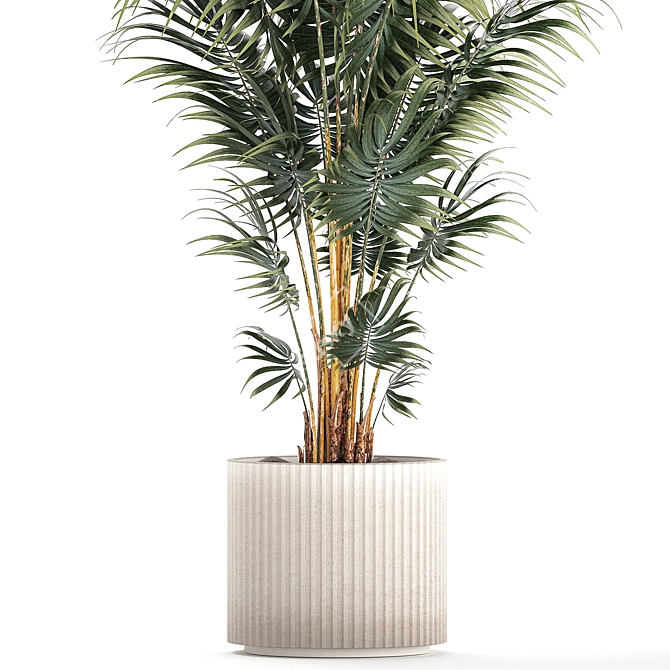 Modern Mini Decorative Indoor Palm 3D model image 3