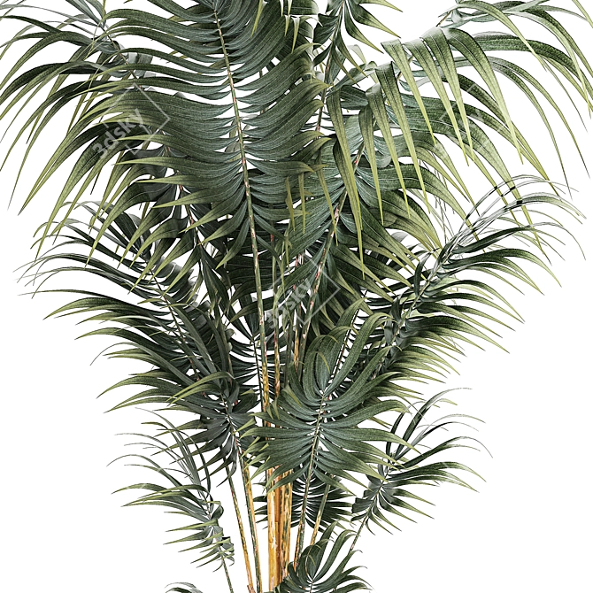 Modern Mini Decorative Indoor Palm 3D model image 5