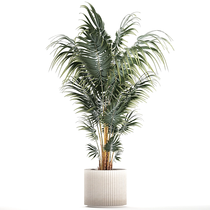 Modern Mini Decorative Indoor Palm 3D model image 6