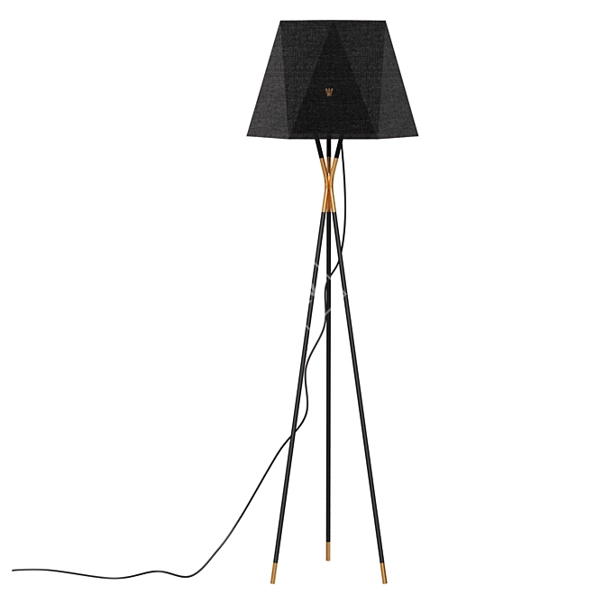 Designer Floor Lamp Trinagar Lighting 3D model image 1