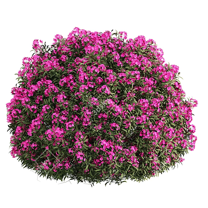 Lush Outdoor Plant Set 3D model image 1