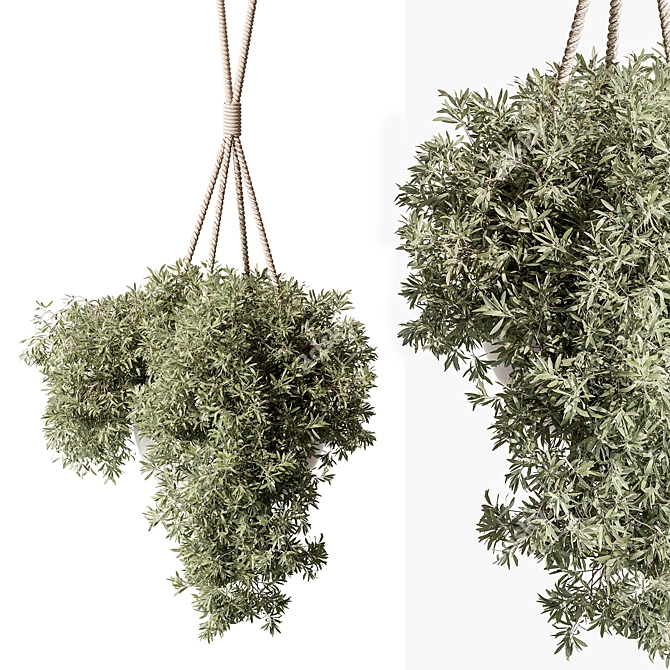 Botanical Beauty Hanging Plant 3D model image 1