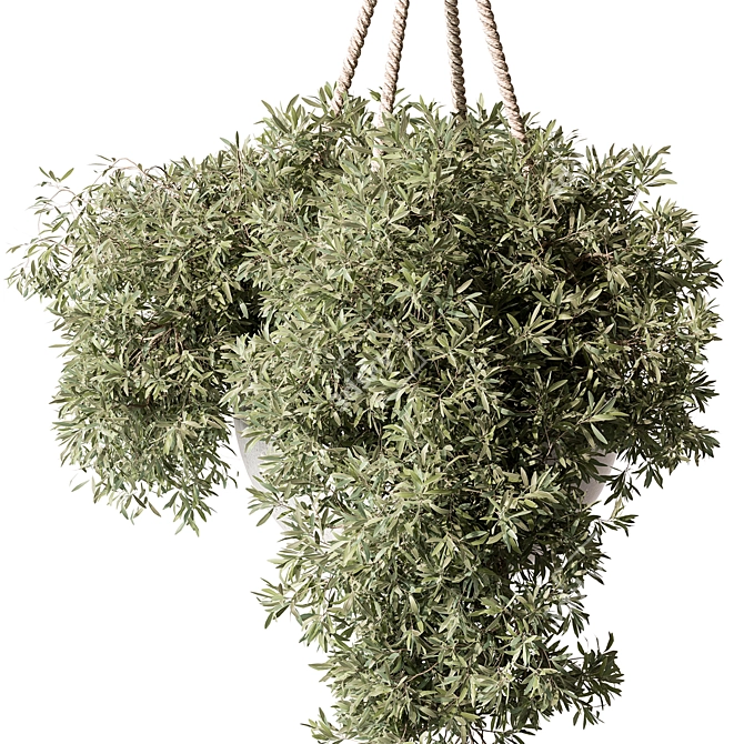 Botanical Beauty Hanging Plant 3D model image 2