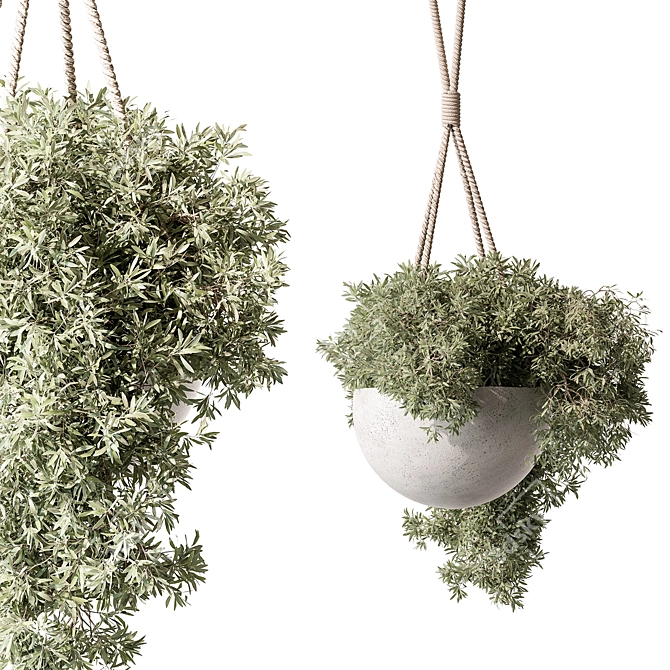 Botanical Beauty Hanging Plant 3D model image 3