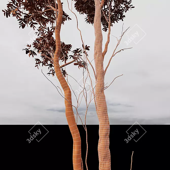 Premium Castanea Sativa 3D Models 3D model image 4