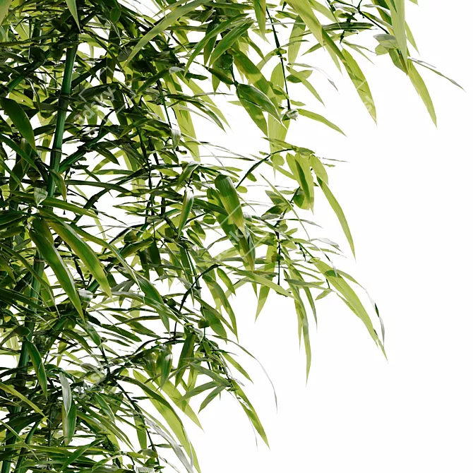 Bamboo Bush 3D Model HQ 3D model image 3