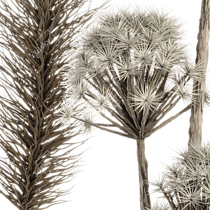 Title: Boho Plants & Dried Branches 3D model image 4