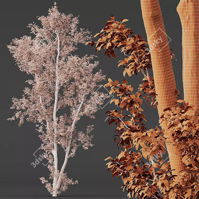 Title: European Nettle Tree 3D Model 3D model image 5