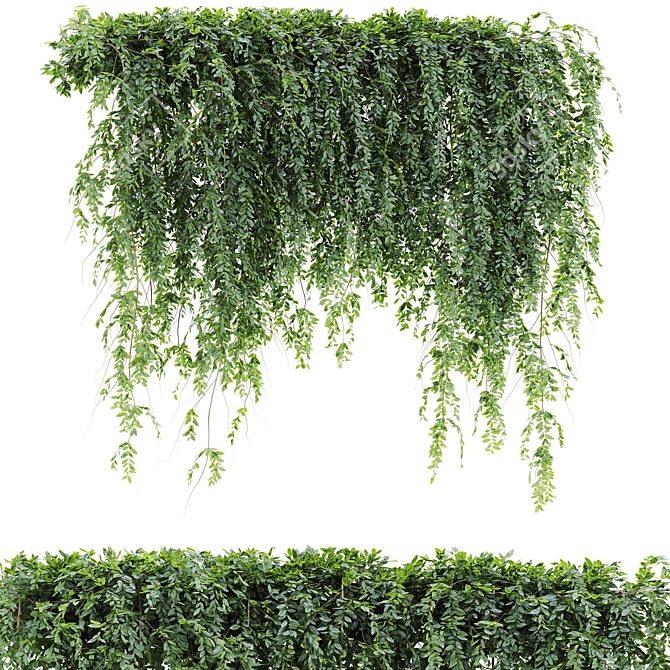 Lush Ivy Plants Pack 3D model image 1