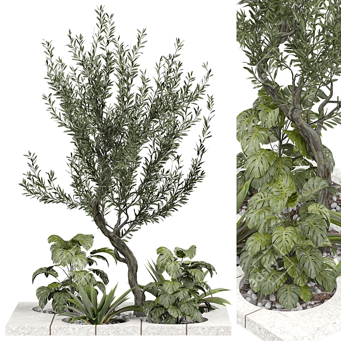 Outdoor Plant 240 | 2015 V-Ray 3D model image 1