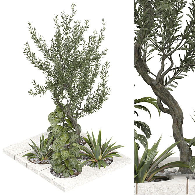 Outdoor Plant 240 | 2015 V-Ray 3D model image 2