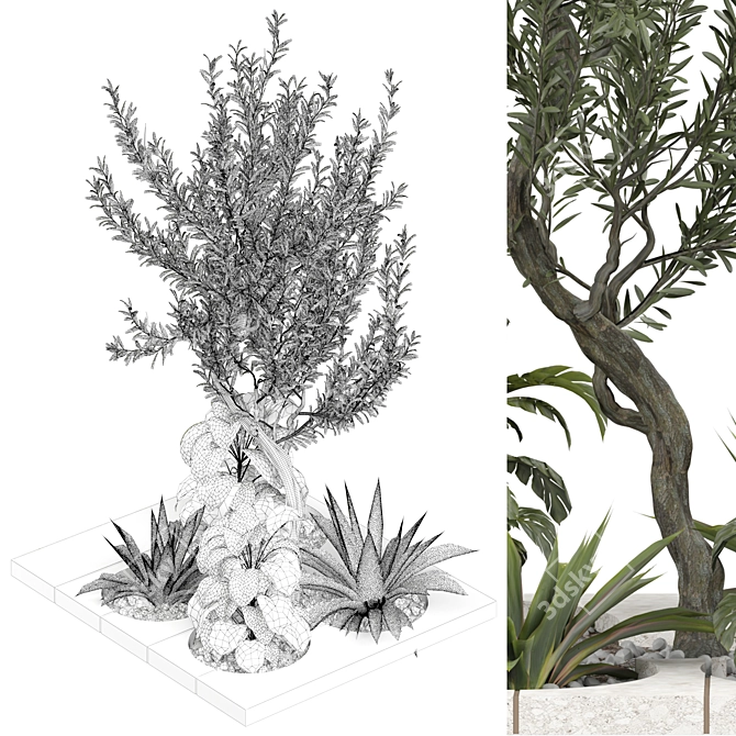 Outdoor Plant 240 | 2015 V-Ray 3D model image 3