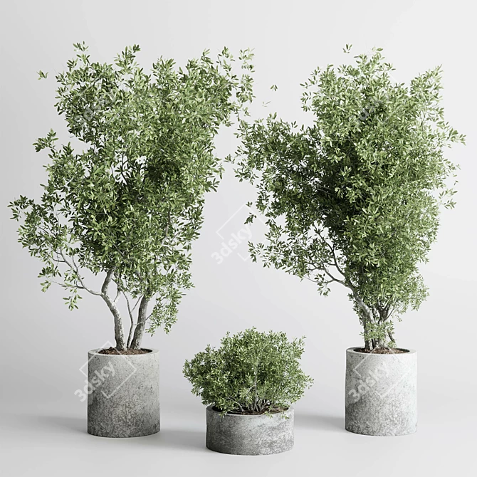 Concrete Old Olive Tree Pot 3D model image 2