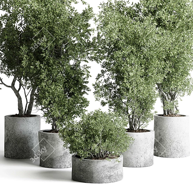 Concrete Old Olive Tree Pot 3D model image 3