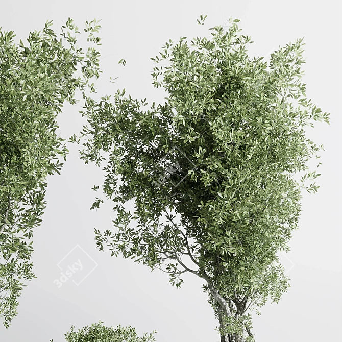 Concrete Old Olive Tree Pot 3D model image 5