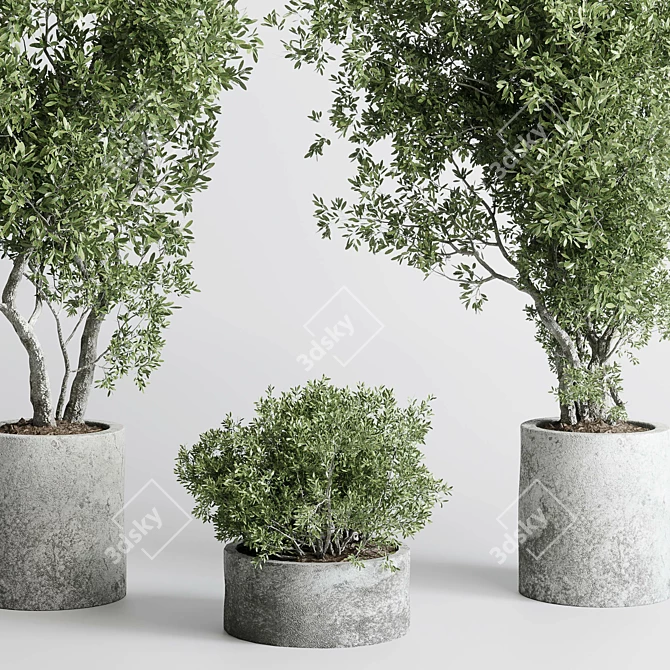 Concrete Old Olive Tree Pot 3D model image 6